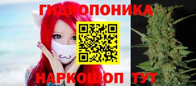 мяу мяу мука Комсомольск-на-Амуре