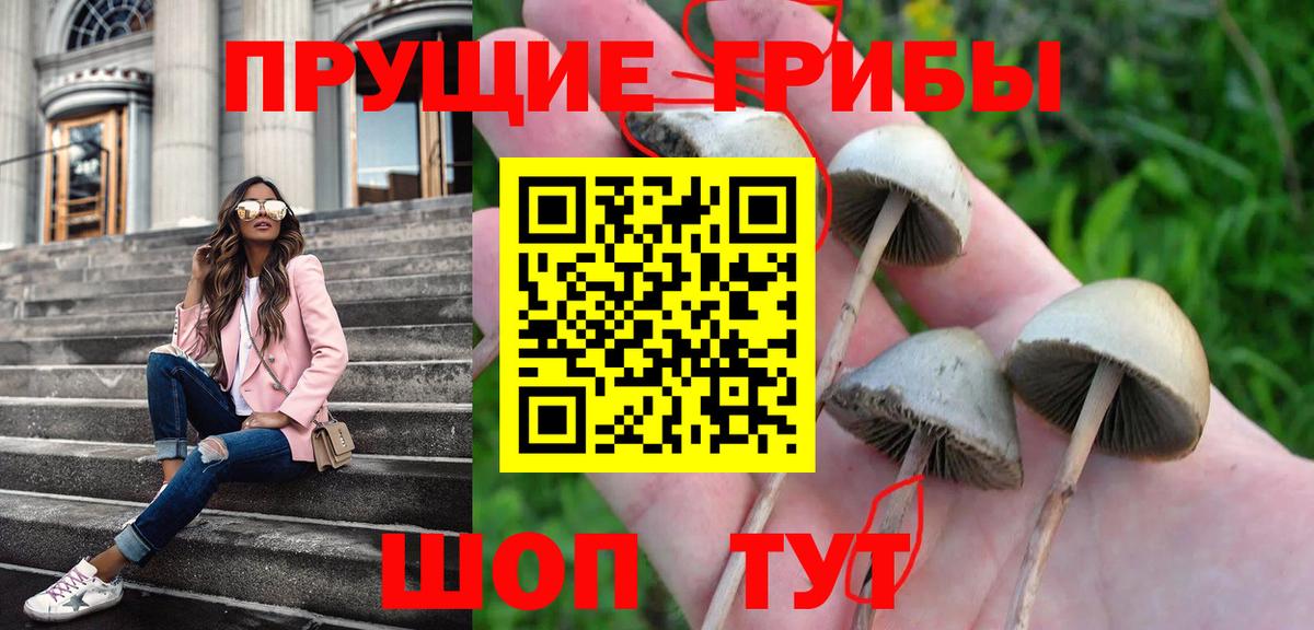 Галлюциногенные грибы мухоморы Барабинск